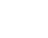 View AUCTIONS